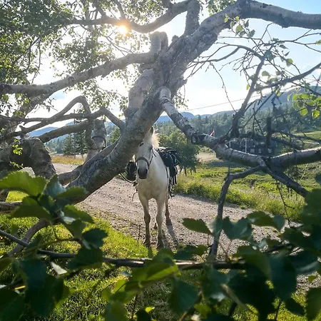 Lifjellstua 3* Lifjell