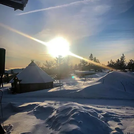 Hotel Lifjellstua