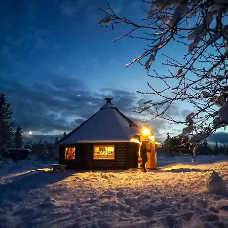 Отель Lifjellstua 3*