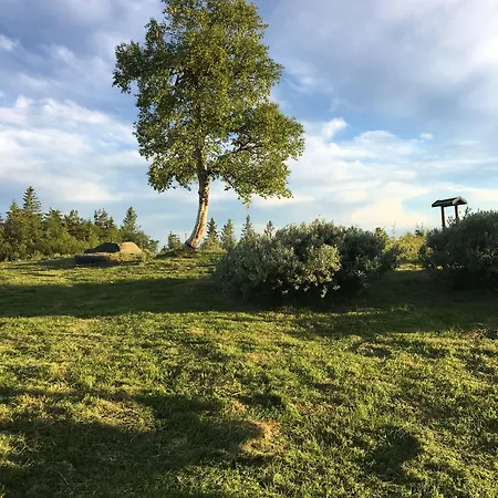 Lifjellstua 3*