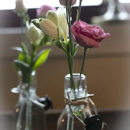 Отель Lifjellstua Lifjell