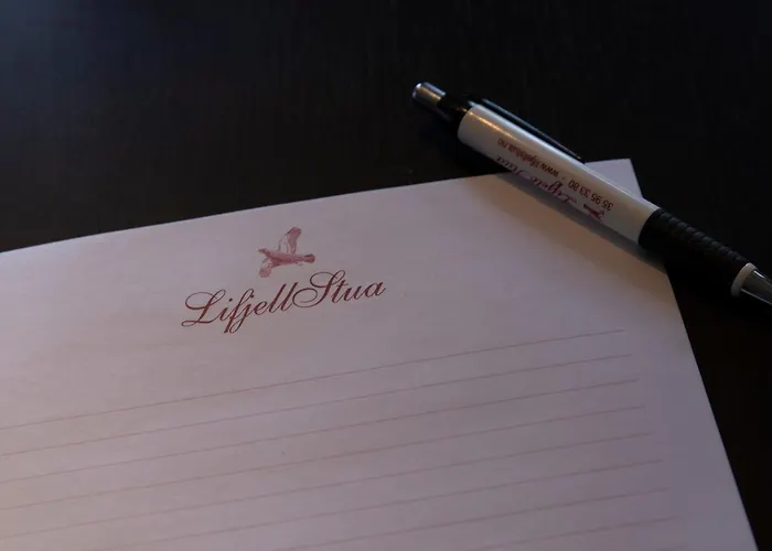 Lifjellstua מלון 3*