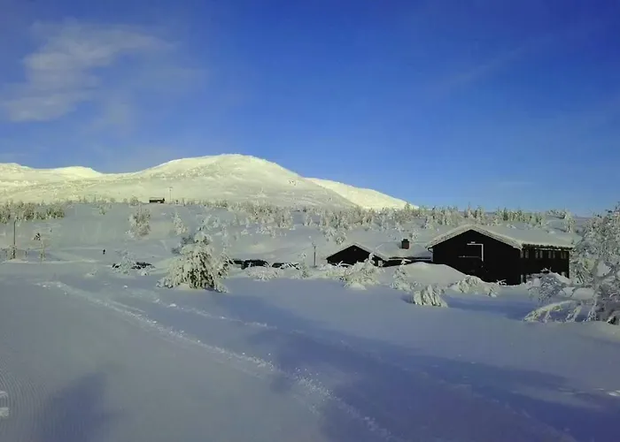 מלון Lifjellstua Lifjell