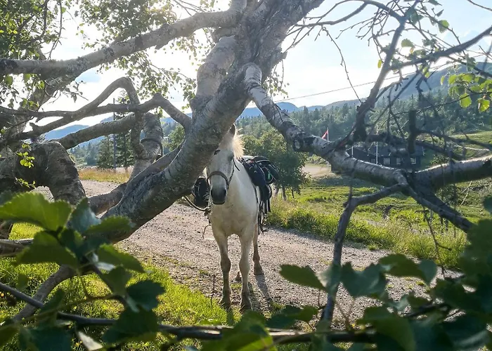 Lifjellstua 3* Lifjell