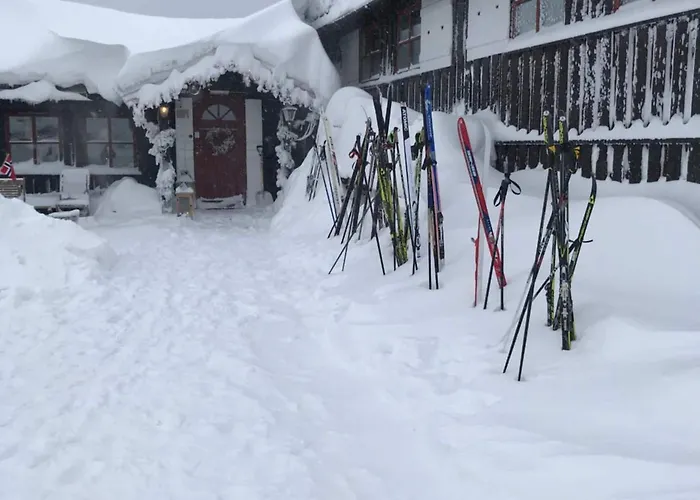 Lifjellstua מלון 3*