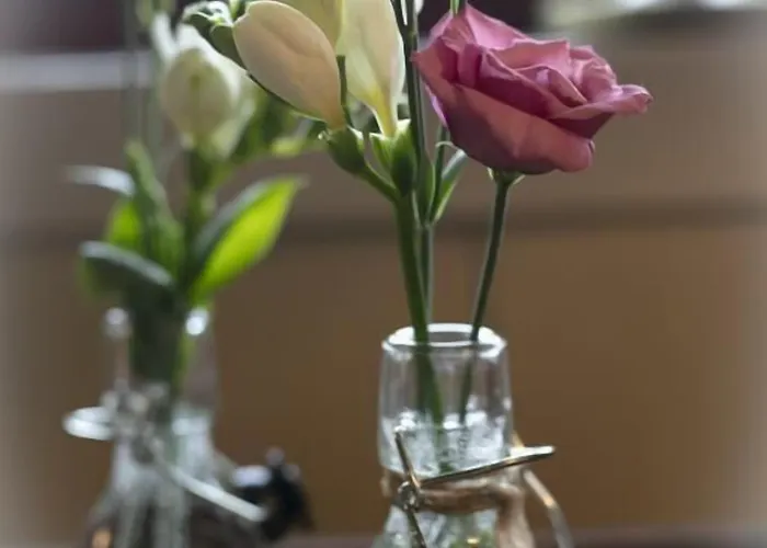 Lifjellstua 3* Lifjell