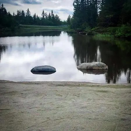 Lifjellstua Lifjell